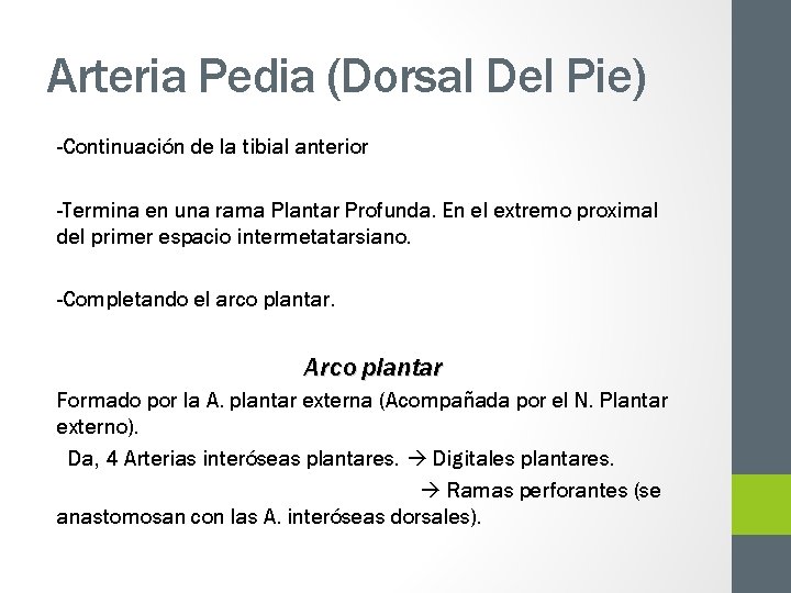Arteria Pedia (Dorsal Del Pie) -Continuación de la tibial anterior -Termina en una rama