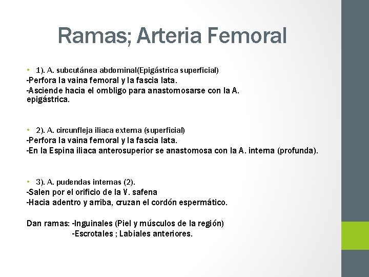 Ramas; Arteria Femoral • 1). A. subcutánea abdominal(Epigástrica superficial) -Perfora la vaina femoral y