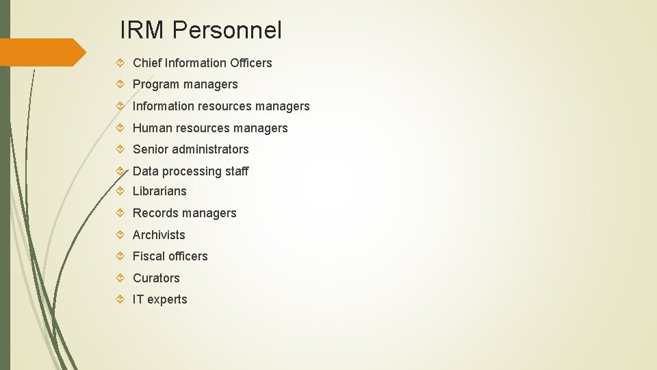 IRM Personnel Chief Information Officers Program managers Information resources managers Human resources managers Senior
