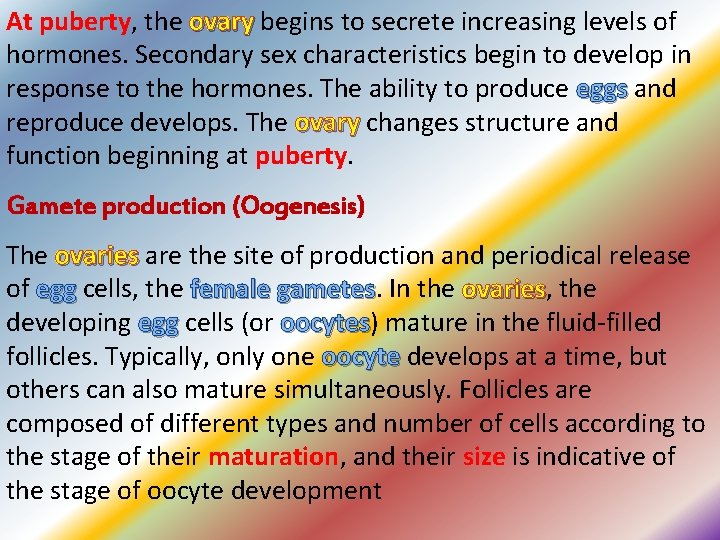 At puberty, the ovary begins to secrete increasing levels of hormones. Secondary sex characteristics