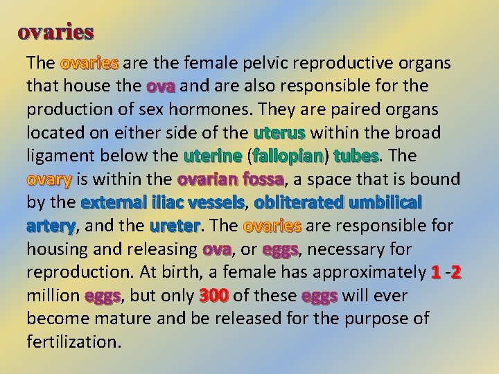 ovaries The ovaries are the female pelvic reproductive organs that house the ova and