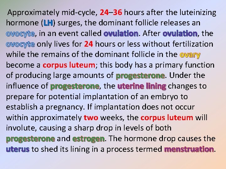 Approximately mid-cycle, 24– 36 hours after the luteinizing hormone (LH) LH surges, the dominant