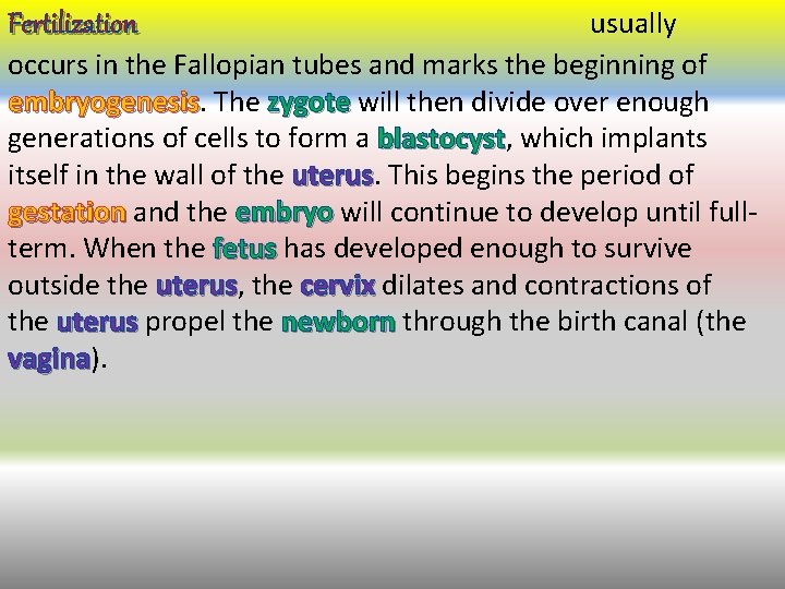 usually occurs in the Fallopian tubes and marks the beginning of embryogenesis The zygote