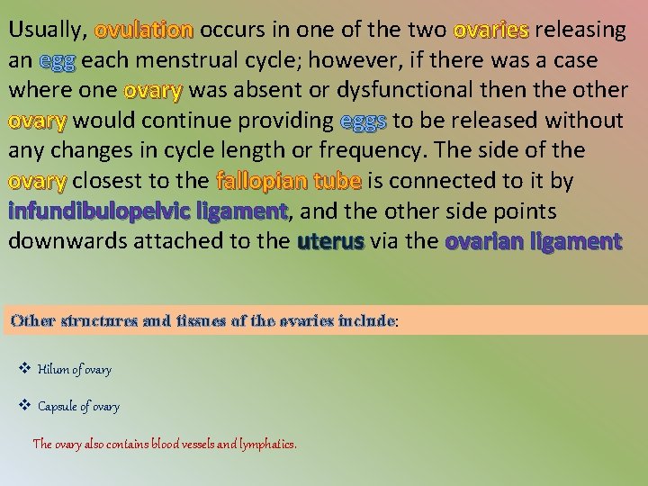 Usually, ovulation occurs in one of the two ovaries releasing an egg each menstrual