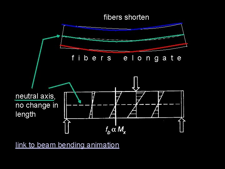 fibers shorten f i b e r s neutral axis, no change in length
