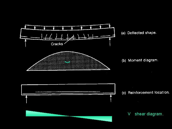 vv shear diagram. 