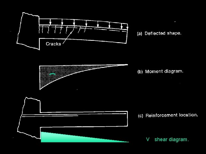 vv shear diagram. 