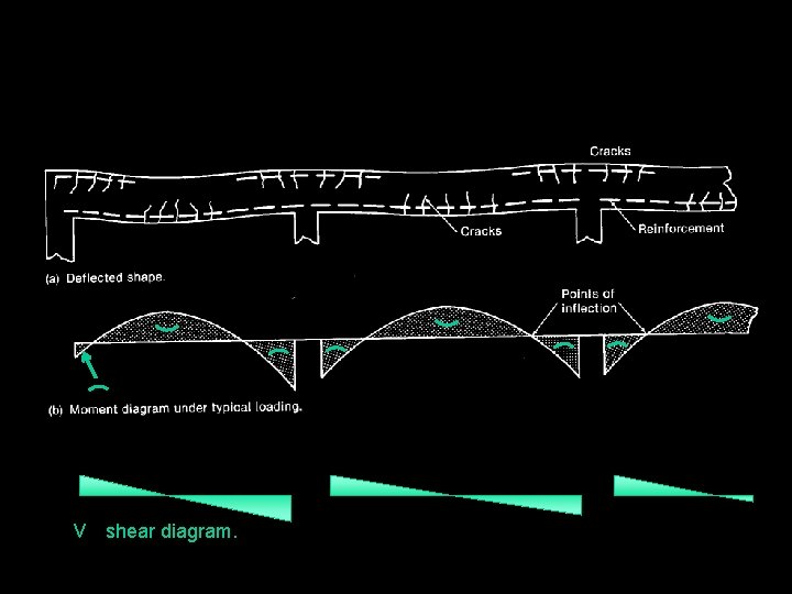 vv shear diagram. 