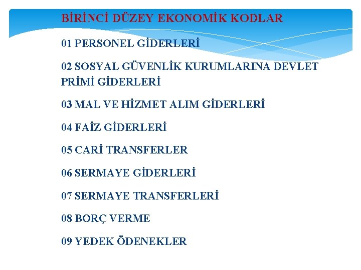  BİRİNCİ DÜZEY EKONOMİK KODLAR 01 PERSONEL GİDERLERİ 02 SOSYAL GÜVENLİK KURUMLARINA DEVLET PRİMİ