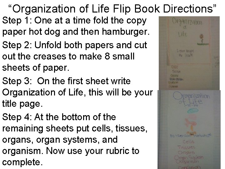 “Organization of Life Flip Book Directions” Step 1: One at a time fold the “Organization of Life Flip Book Directions” Step 1: One at a time fold the
