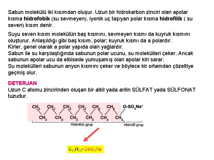 Sabun molekülü iki kısımdan oluşur. Uzun bir hidrokarbon zinciri olan apolar kısma hidrofobik (su