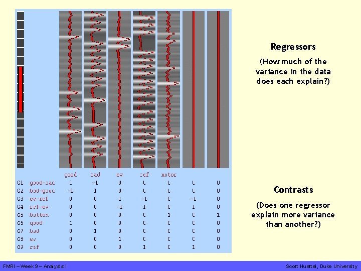 Regressors (How much of the variance in the data does each explain? ) Contrasts