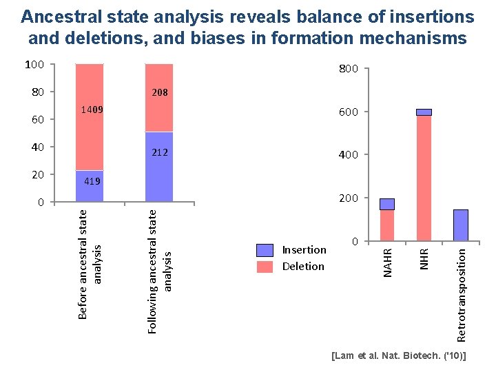 Ancestral state analysis reveals balance of insertions and deletions, and biases in formation mechanisms