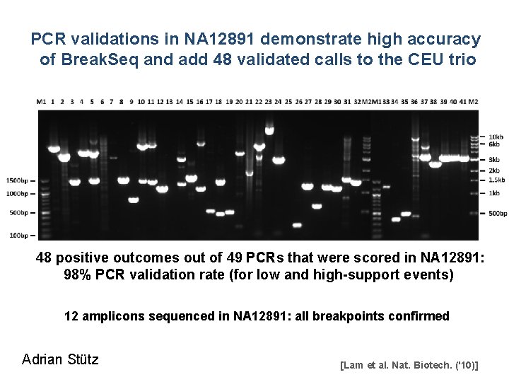 PCR validations in NA 12891 demonstrate high accuracy of Break. Seq and add 48