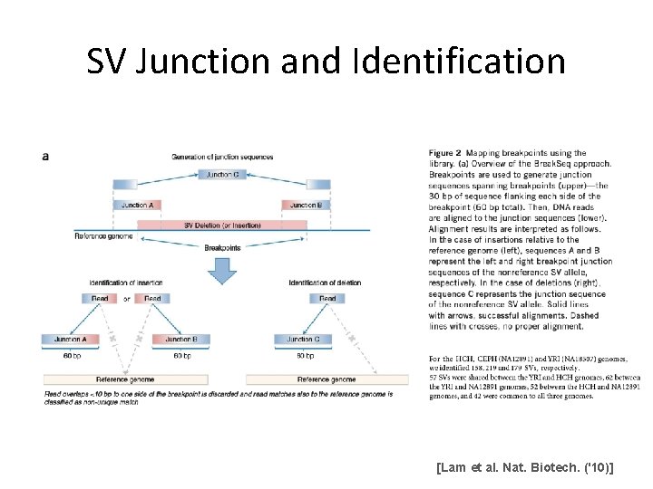 SV Junction and Identification [Lam et al. Nat. Biotech. ('10)] 