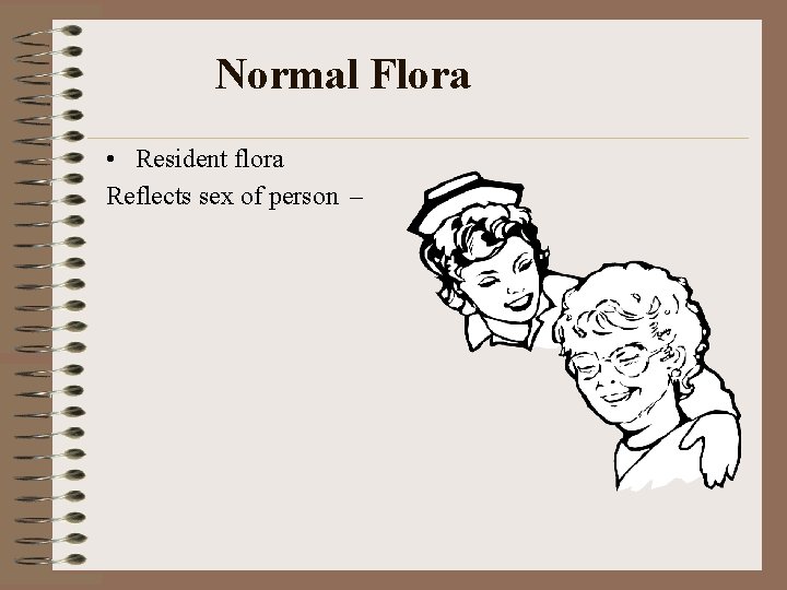 Normal Flora • Resident flora Reflects sex of person – 