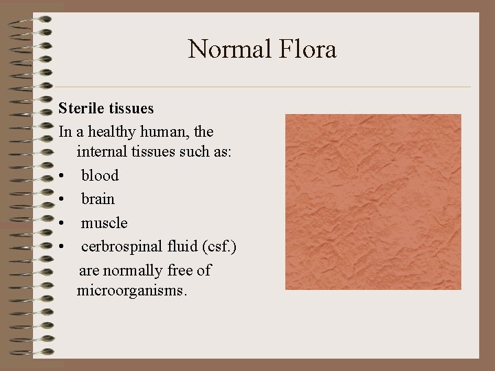 Normal Flora Sterile tissues In a healthy human, the internal tissues such as: •