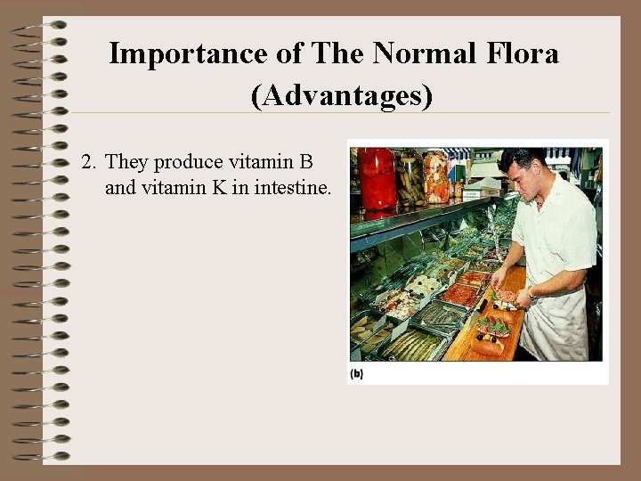 Importance of The Normal Flora (Advantages) 2. They produce vitamin B and vitamin K