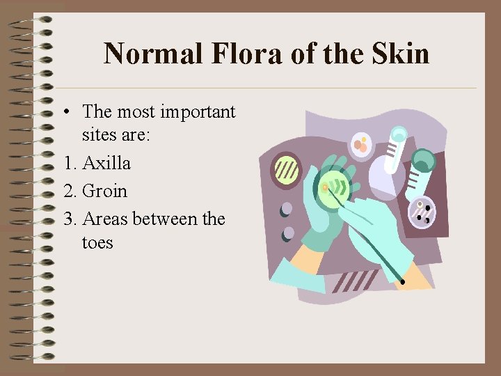 Normal Flora of the Skin • The most important sites are: 1. Axilla 2.