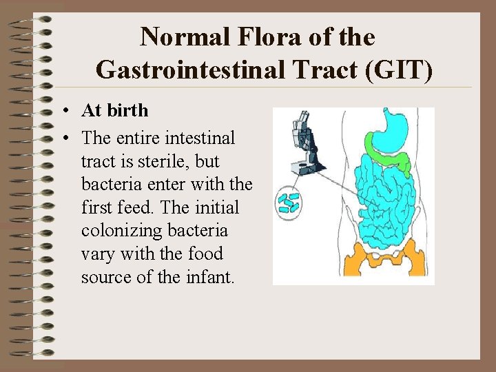 Normal Flora of the Gastrointestinal Tract (GIT) • At birth • The entire intestinal