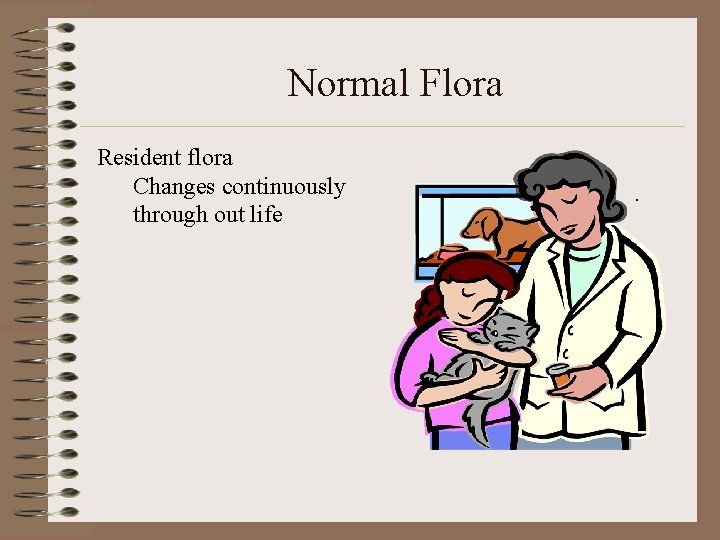 Normal Flora Resident flora Changes continuously through out life . 