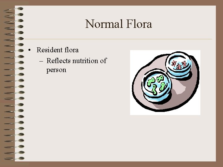 Normal Flora • Resident flora – Reflects nutrition of person 