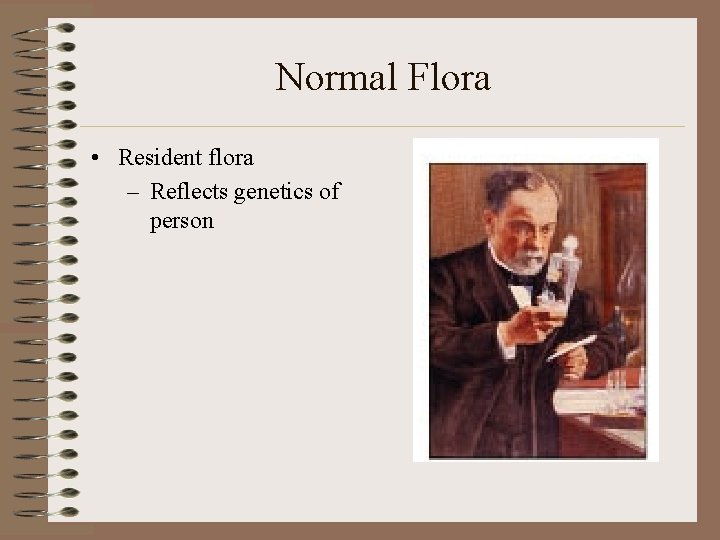 Normal Flora • Resident flora – Reflects genetics of person 