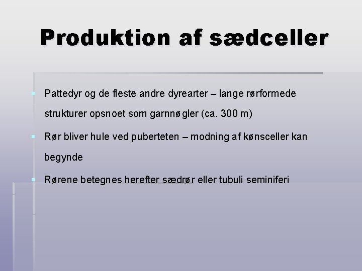Produktion af sædceller § Pattedyr og de fleste andre dyrearter – lange rørformede strukturer