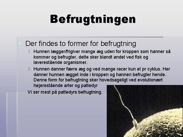 Befrugtningen § Der findes to former for befrugtning 1. Hunnen lægger/frigiver mange æg uden