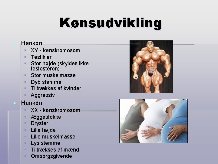 Kønsudvikling § Hankøn § § § § XY - kønskromosom Testikler Stor højde (skyldes