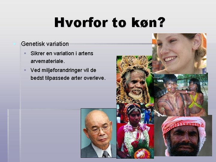 Hvorfor to køn? § Genetisk variation § Sikrer en variation i artens arvemateriale. §