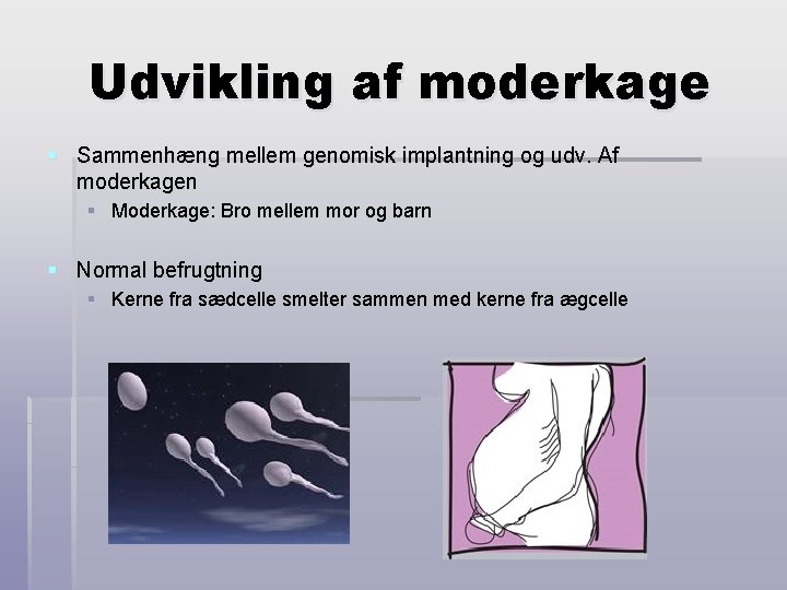 Udvikling af moderkage § Sammenhæng mellem genomisk implantning og udv. Af moderkagen § Moderkage: