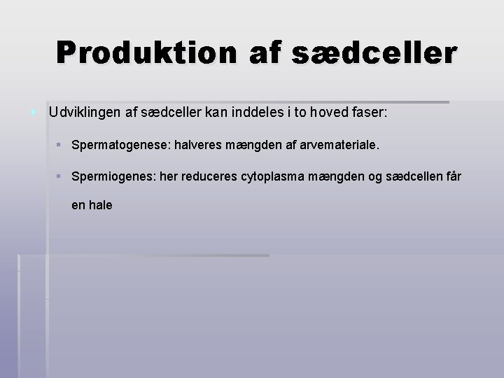 Produktion af sædceller § Udviklingen af sædceller kan inddeles i to hoved faser: §