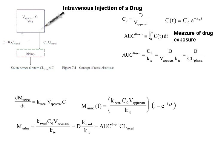 Intravenous Injection of a Drug Measure of drug exposure 