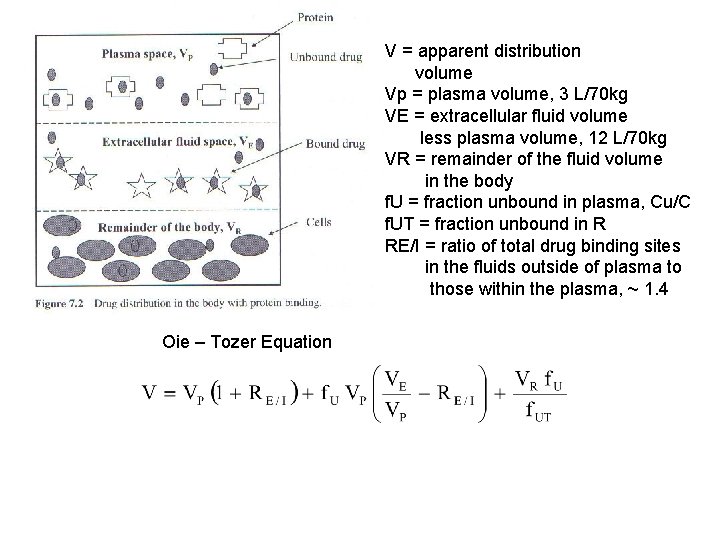 V = apparent distribution volume Vp = plasma volume, 3 L/70 kg VE =