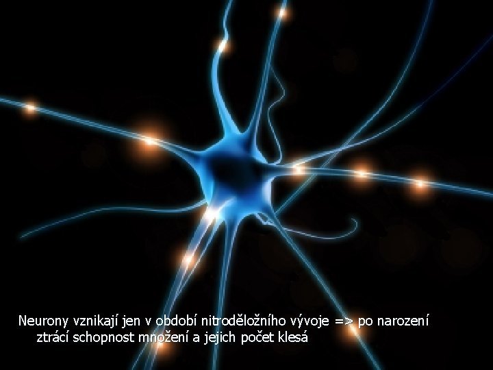 Neurony vznikají jen v období nitroděložního vývoje => po narození ztrácí schopnost množení a