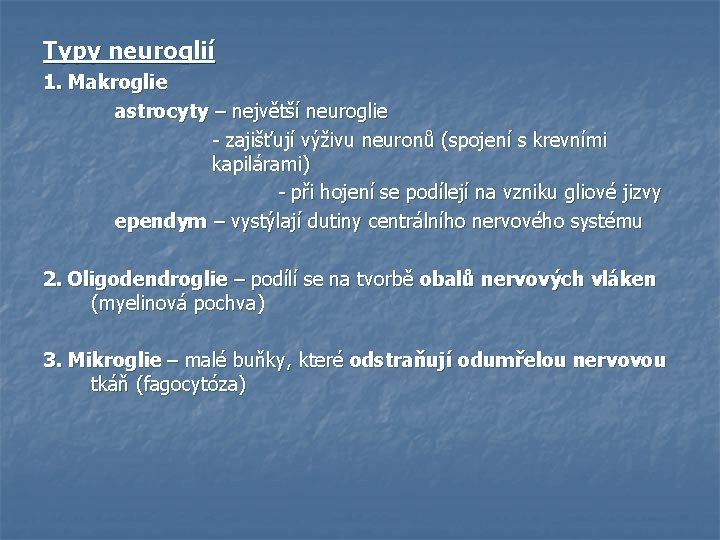 Typy neuroglií 1. Makroglie astrocyty – největší neuroglie - zajišťují výživu neuronů (spojení s