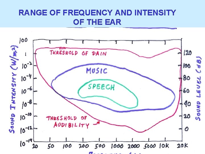 RANGE OF FREQUENCY AND INTENSITY OF THE EAR 
