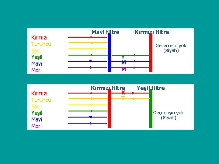 Kırmızı Turuncu Sarı Yeşil Mavi Mor Mavi filtre Kırmızı filtre Geçen ışın yok (Siyah)