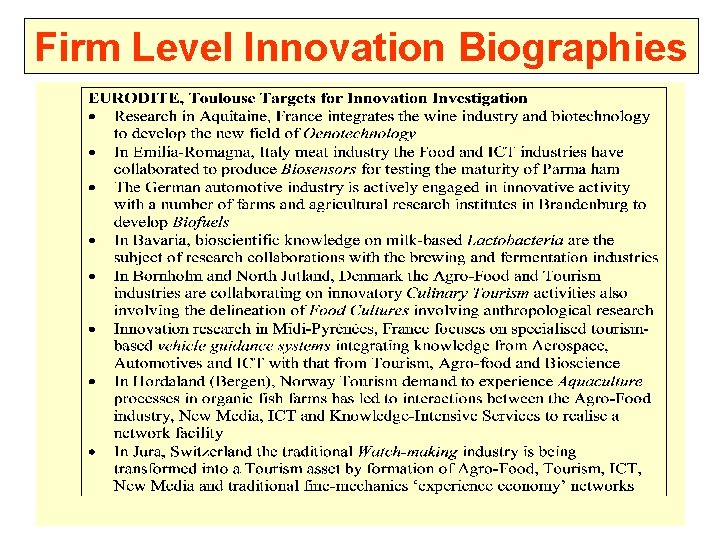 Firm Level Innovation Biographies 