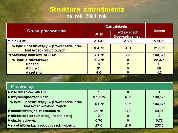 Struktura zatrudnienia za rok 2004 rok Zatrudnienie Grupa pracowników O g ó ł e