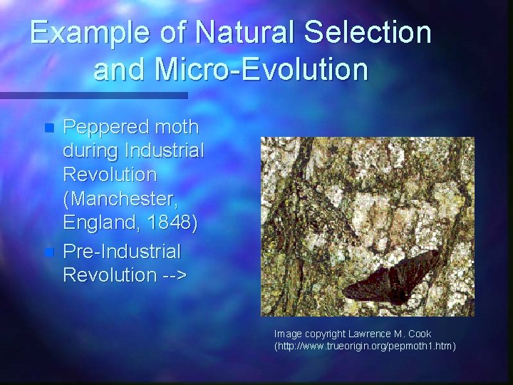 Example of Natural Selection and Micro-Evolution n n Peppered moth during Industrial Revolution (Manchester,