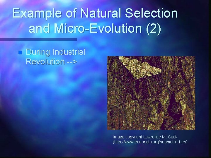 Example of Natural Selection and Micro-Evolution (2) n During Industrial Revolution --> Image copyright
