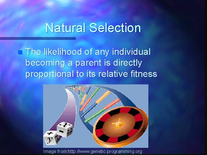 Natural Selection n The likelihood of any individual becoming a parent is directly proportional