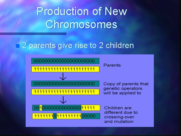 Production of New Chromosomes n 2 parents give rise to 2 children 