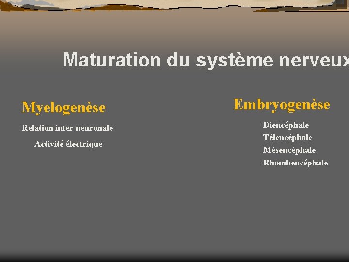 Maturation du système nerveux Myelogenèse Relation inter neuronale Activité électrique Embryogenèse Diencéphale Télencéphale Mésencéphale