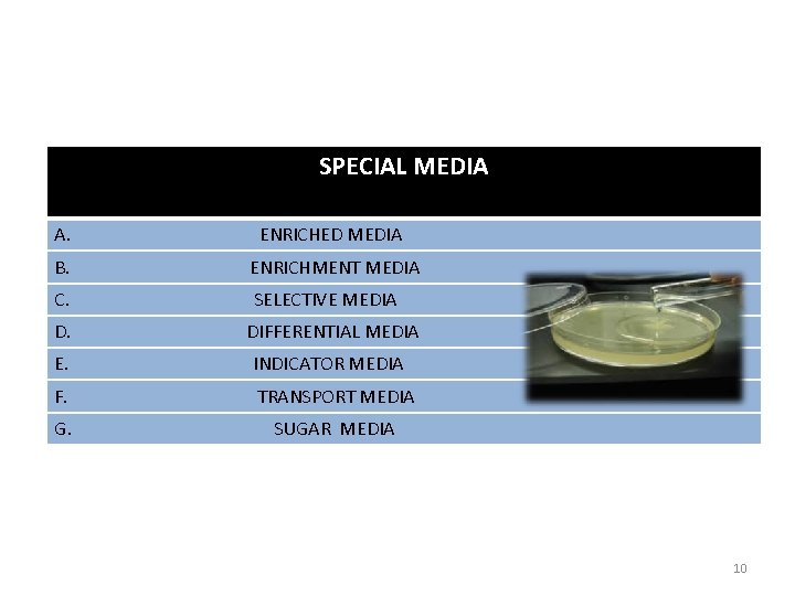 SPECIAL MEDIA A. ENRICHED MEDIA B. ENRICHMENT MEDIA C. SELECTIVE MEDIA D. DIFFERENTIAL MEDIA