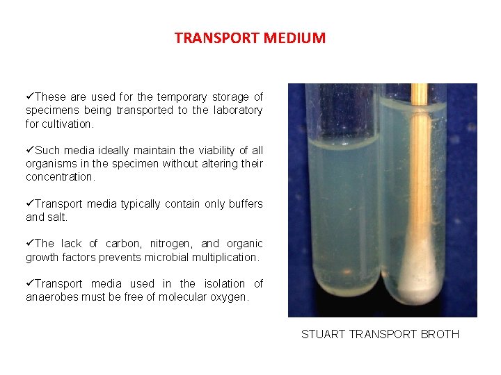TRANSPORT MEDIUM üThese are used for the temporary storage of specimens being transported to