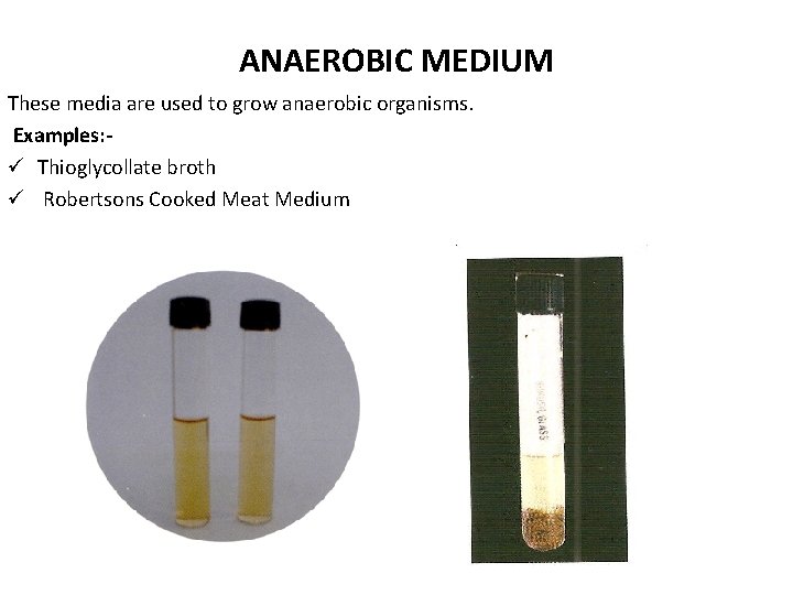 ANAEROBIC MEDIUM These media are used to grow anaerobic organisms. Examples: ü Thioglycollate broth