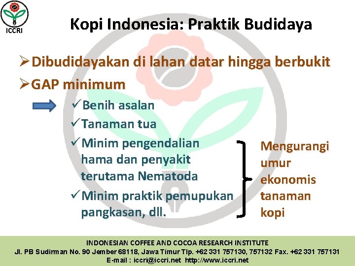 ICCRI Kopi Indonesia: Praktik Budidaya ØDibudidayakan di lahan datar hingga berbukit ØGAP minimum üBenih